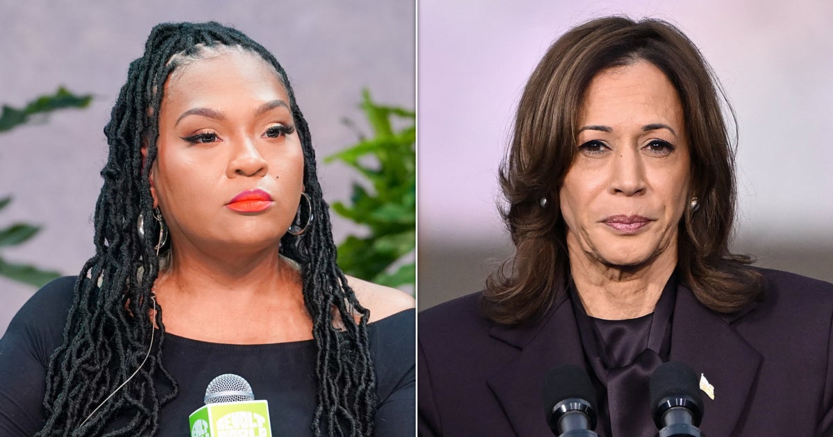 Former Bernie Sanders Adviser Says There Was ‘Never A Chance In Hell’ Harris Would’ve Beat Trump