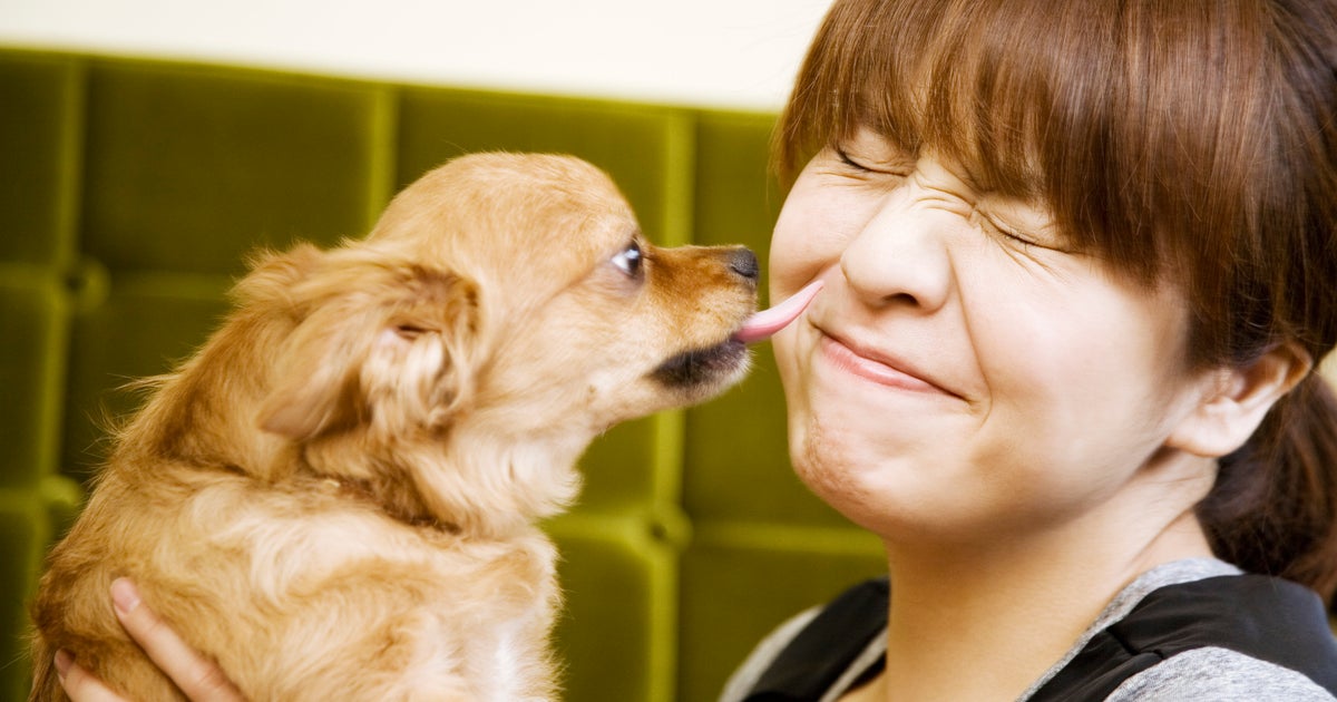 NextImg:After Reading This, Do You Still Want To Let Your Dog Lick Your Face?
