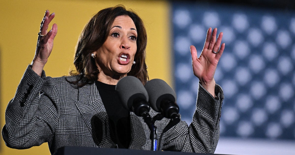 Why Kamala Harris Lost Michigan — And Another Democrat Won