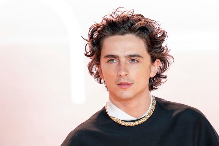 Timothée Chalamet at the Dune: Part Two premiere earlier this year