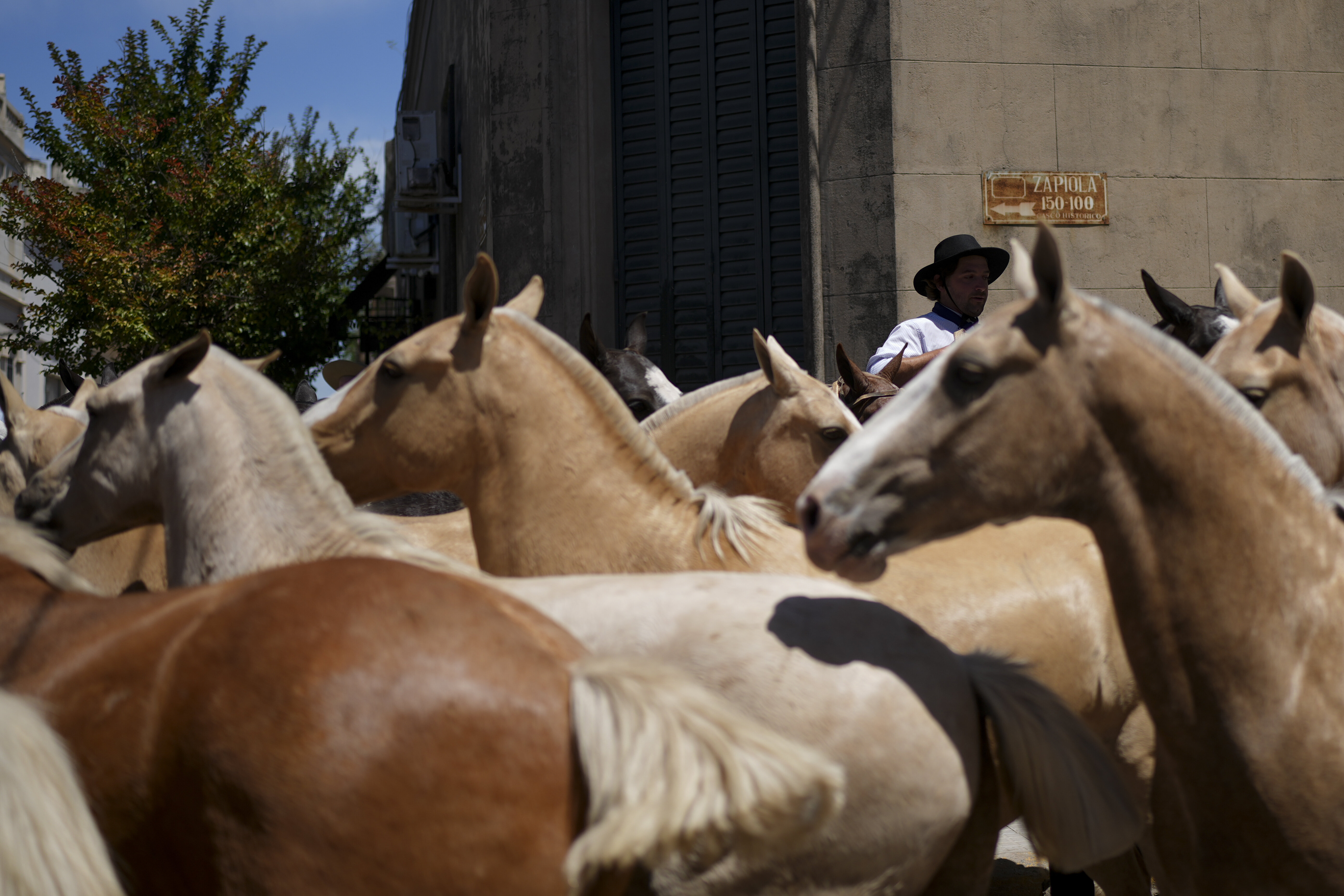 So THAT's How Much Horsepower A Horse Actually Has