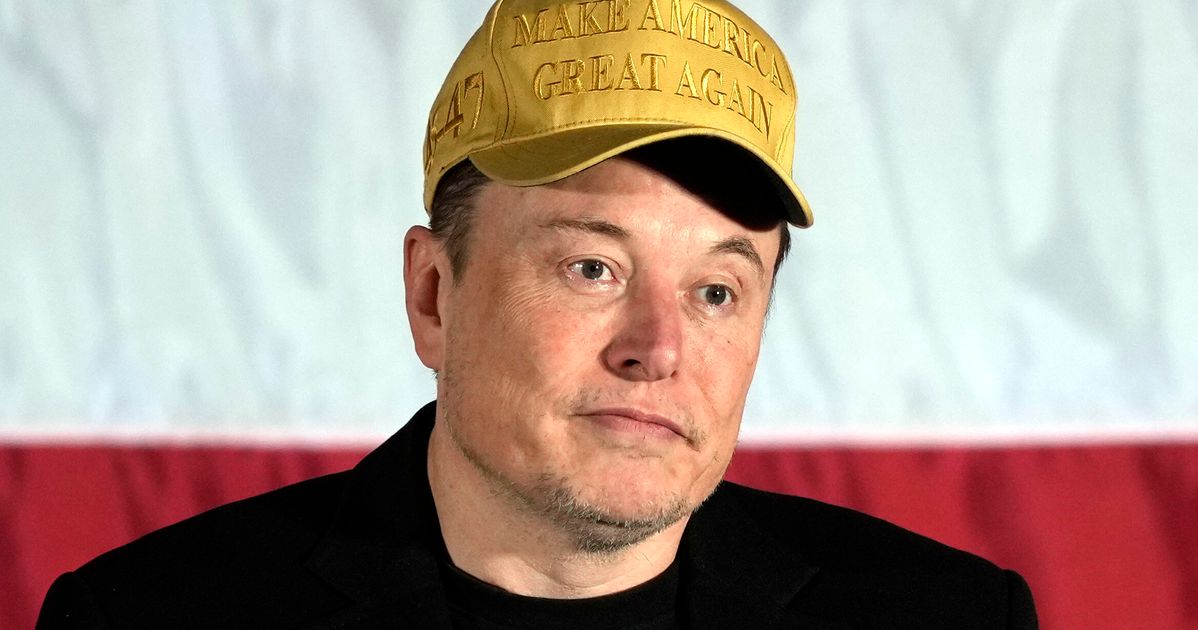 CNN Legal Analyst Predicts Musk Will Go ‘Crazy’ Running New ‘DOGE’ Effort