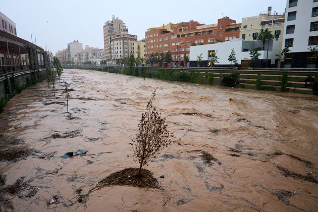 ΜΑΛΑΓΑ, ΙΣΠΑΝΙΑ - 13 ΝΟΕΜΒΡΙΟΥ: Γενική άποψη ενός καναλιού κοντά στο ιστορικό κέντρο της πόλης Μάλαγα στις 13 Νοεμβρίου 2024 στη Μάλαγα της Ισπανίας - (Φωτογραφία: Angel Martinez/Getty Images)