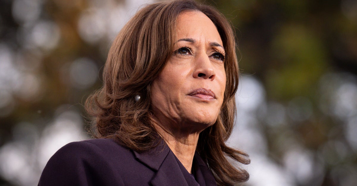 NextImg:The Autopsy Can Wait As Democrats Marinate In Their Feels