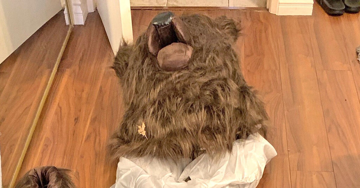 NextImg:Insurers Say Bear Filmed Wrecking Luxury Cars Was Actually... A Person In A Bear Costume