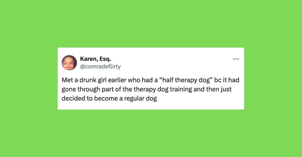 NextImg:24 Of The Funniest Tweets About Cats And Dogs This Week
