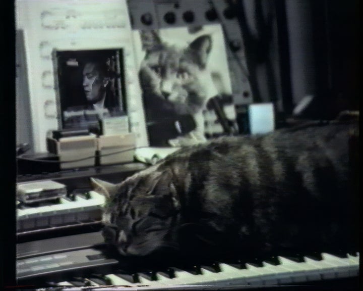 Chris Marker Cat Listening to Music