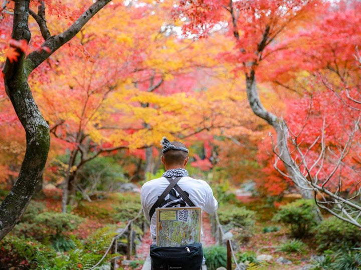 紅葉の赤や黄色をより鮮やかに表現できる ©工藤司(えびす屋嵐山總本店)