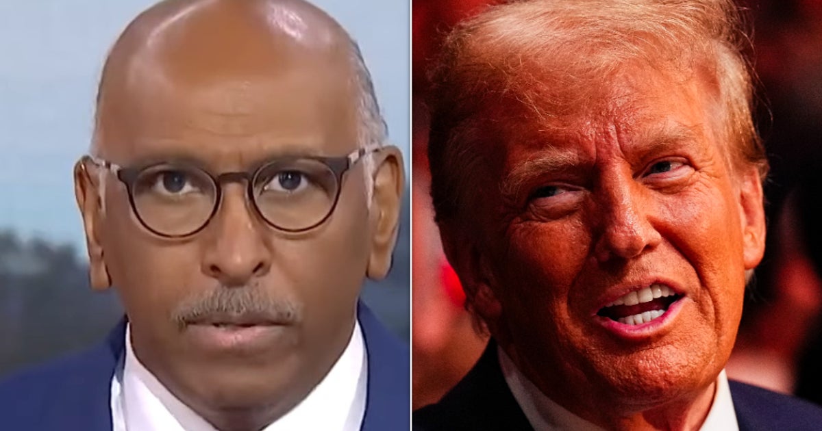 'How Dumb Is That?': Ex-RNC Chair Michael Steele Slaps Down 'Crazy' New Trump Plan