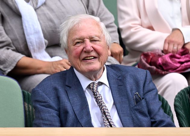 Sir David Attenborough pictured at Wimbledon over the summer