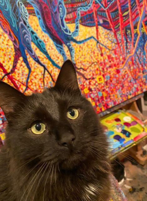 Roger was adopted by artist Alison Price and her husband. Price reports that Roger likes to sleep next to her while she paints.