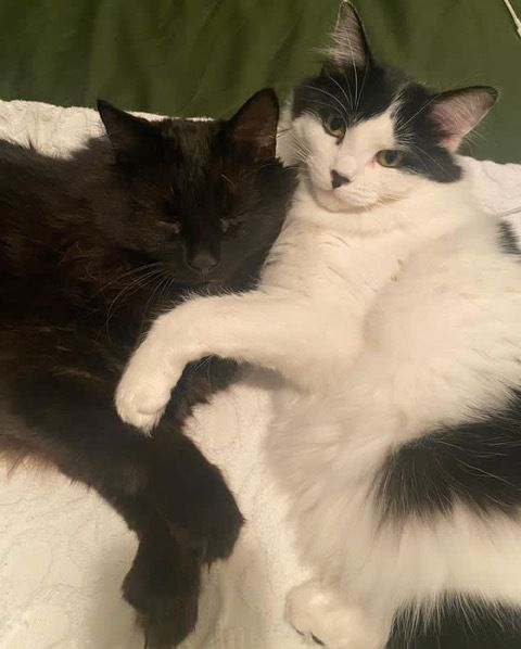 Roger cuddling with his sister Eleanor, who was adopted by the family in 2023. The pair quickly became best friends.