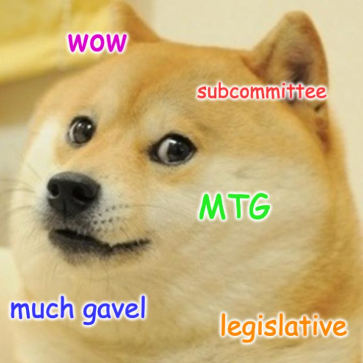 An example of the DOGE meme.