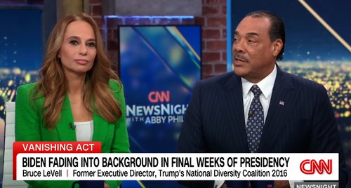 Julie Roginsky and Bruce LeVell during an on-air segment.