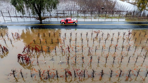 A firefighter returns to his truck among flooded vineyards as heavy rains continue in Windsor, California on Nov. 22.