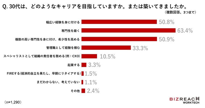 どのようなキャリアを目指していますか。または築いてきましたか（30代）