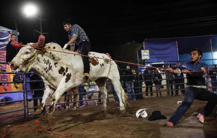 The scene at Gallego's get-out-the-vote rodeo event in Phoenix on Nov. 1.