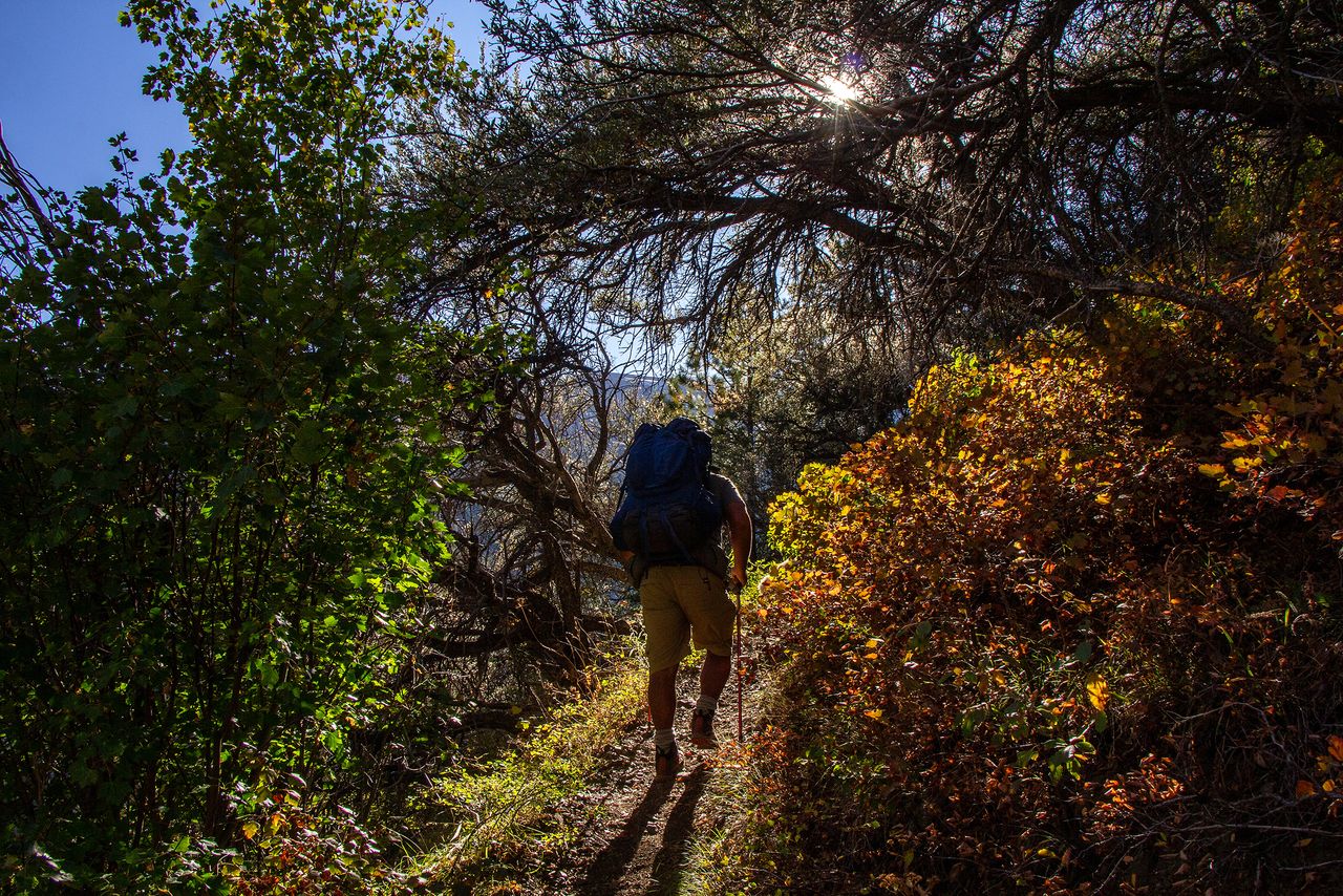 Kanim Moses-Conner disappears into the Walwalmox Mountains of his Nez Perce homeland for a weekend connecting with one of the wildest places left in the Lower 48 states. Returning public lands such as the U.S. Forest Service land that holds those mountains to Indigenous tenureship, could capture up to 12 gigatons of carbon by 2050 according to the UN sponsored Project Drawdown climate change reversal initiative.