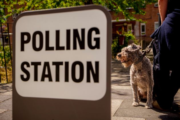 A man and dog wait outside a polling station on the day of the last election on July 4.