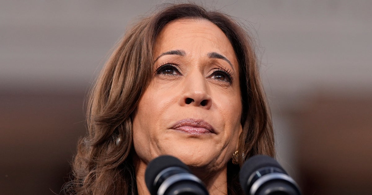 NextImg:Nate Silver Slams Harris Campaign Aides Over Post-Election Takes: 'No Will Of Their Own'