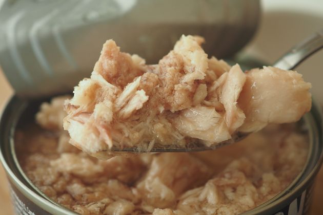 canned tuna on wooden table