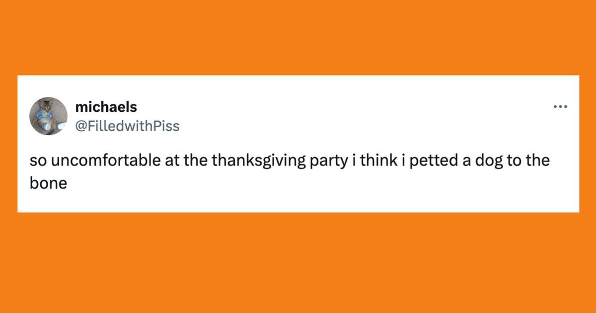 20 Of The Funniest Tweets About Cats And Dogs This Week (Nov. 23-29)