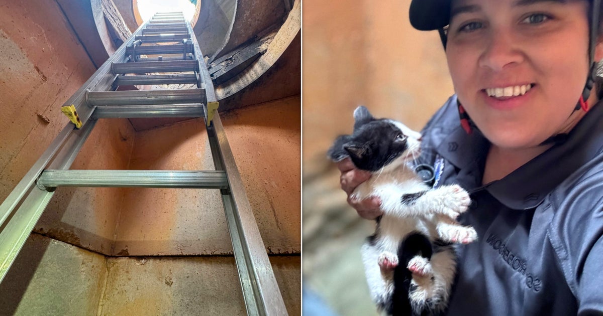 NextImg:Rescuer Descends Into Drainpipe And Crawls 150 Feet To Save Kitten