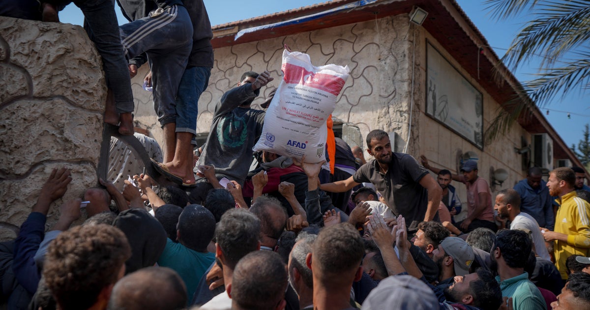 NextImg:UNRWA Says It's Halting Aid Deliveries Through Main Gaza Crossing