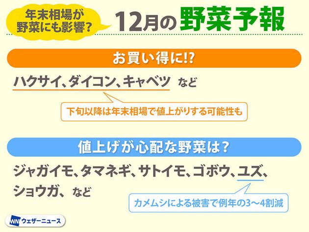 12月の野菜予報