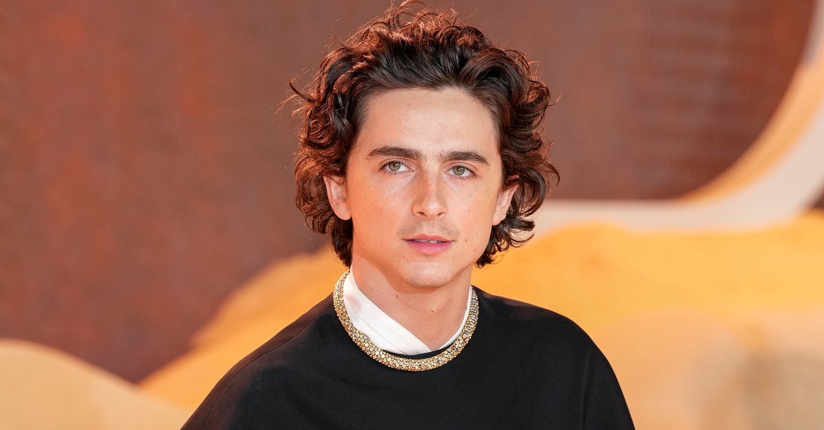 NextImg:Timothée Chalamet Tried To Pay Look-Alike Contest Organizer's $500 Fine
