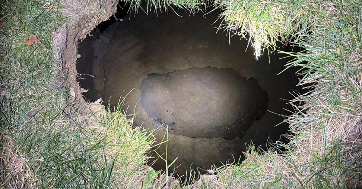 NextImg:Missing Pennsylvania Woman Looking For Cat May Have Fallen Into Sinkhole, Police Say