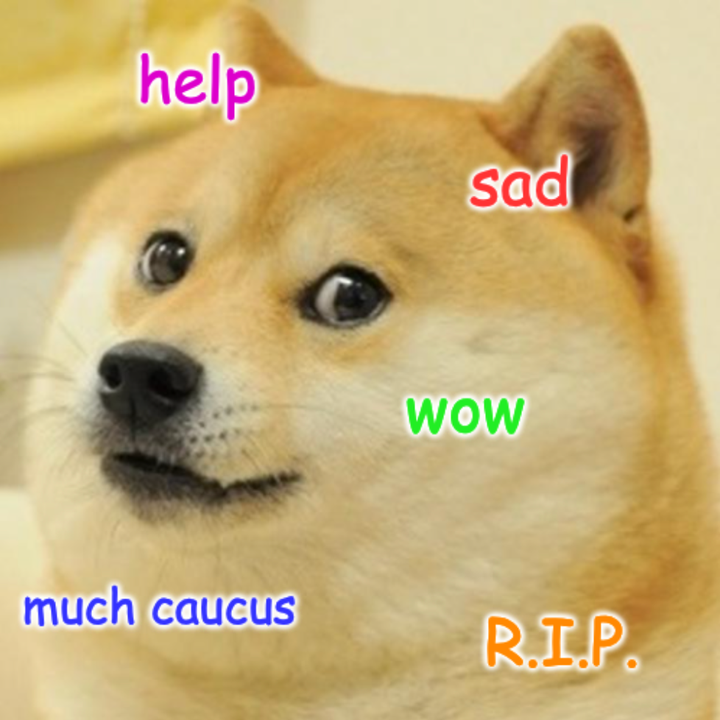 An example of the doge meme.