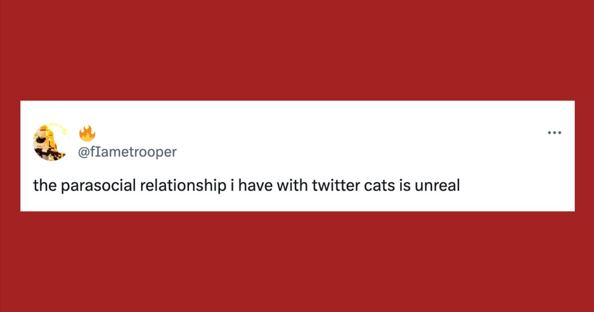 25 Of The Funniest Tweets About Cats And Dogs This Week (Nov. 30-Dec. 6)