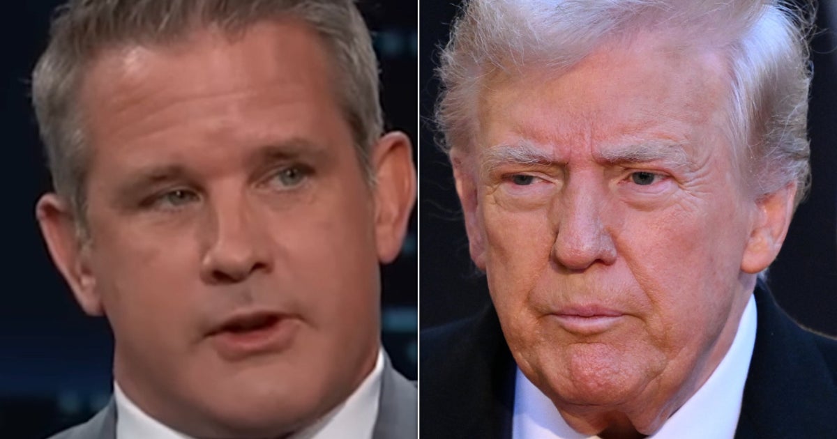 NextImg:Adam Kinzinger Has Defiant 3-Word Response To Trump's Jail Threat