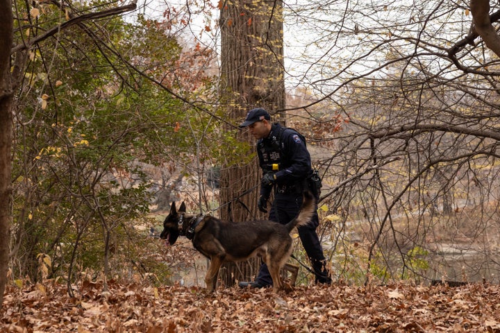 An NYPD police officer and K-9 dog search around a lake in Central Park, Monday, Dec. 9, 2024, in New York. 