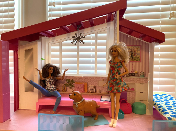 Made-to-Move Barbie shows off her articulating joints for another Barbie in the dream house.