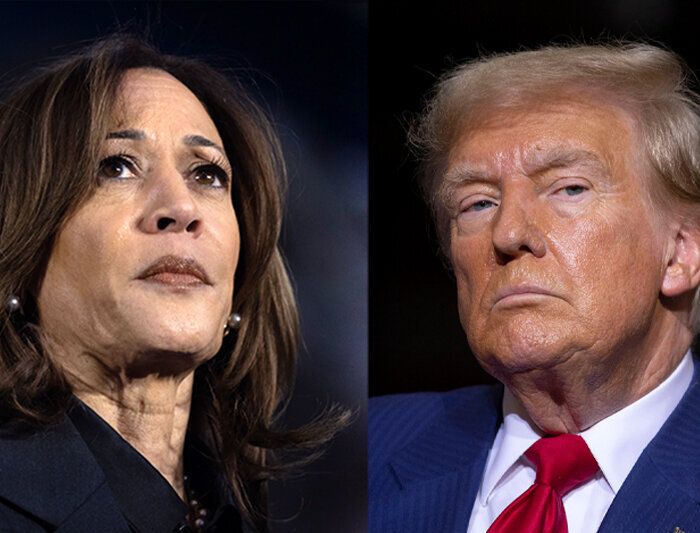 Democrats are still divided on why Kamala Harris lost the 2024 presidential election to Donald Trump.