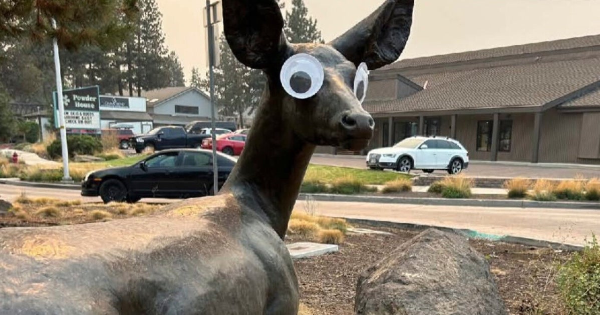 NextImg:Mysterious Googly Eyes Appearing On Public Art In Oregon