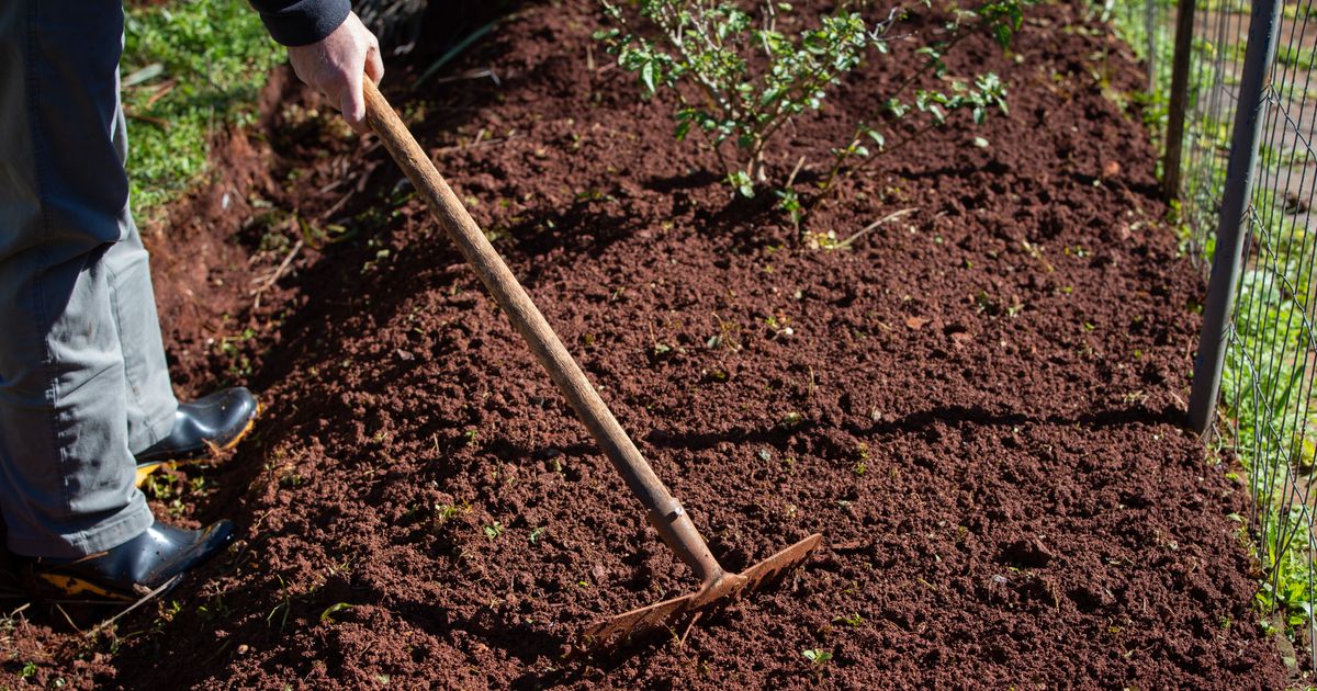 New York Man Makes Stunning Prehistoric Discovery While Gardening Own Backyard