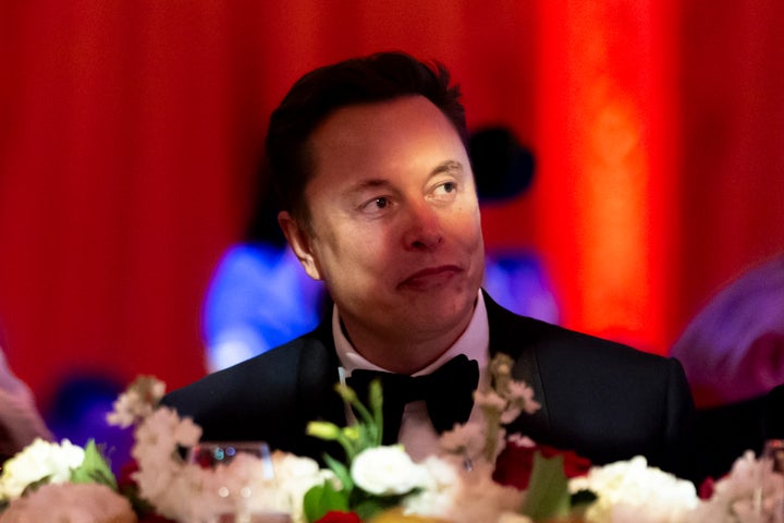 Afd Raly Musk Musk Backs Far-Right Party: 'Only The AFD Can Save Germany' | HuffPost ...