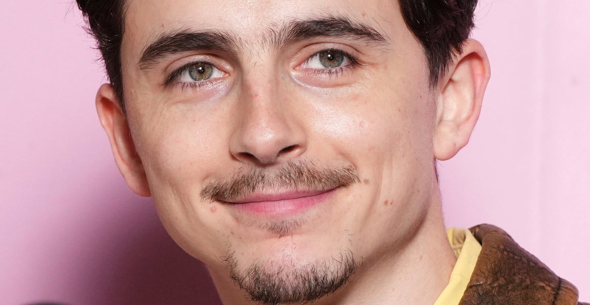 Timothée Chalamet Finds Losing At Award Shows 'Hilarious' | HuffPost ...