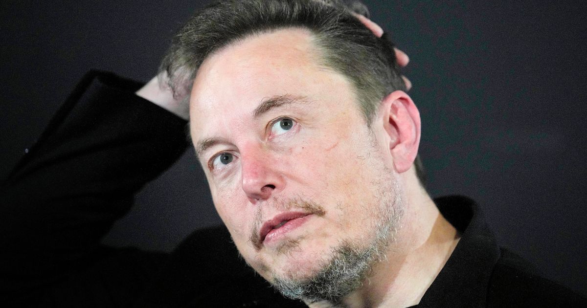 Elon Musk Is Getting Torched For Equating Far-Right German Party To Obama's