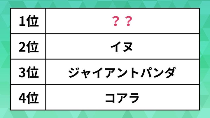 可愛い動物ランキング【最新版】