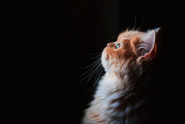 Φωτογραφία Αρχείου.