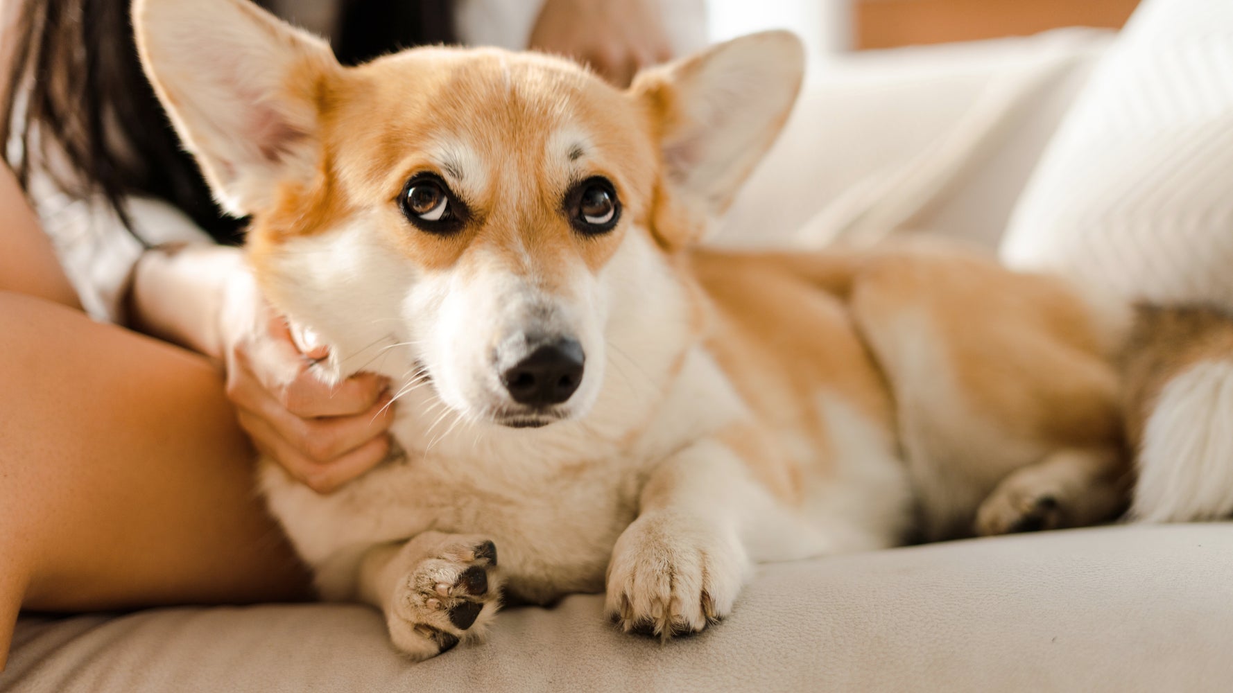 676a534e1700002600373bb2.jpeg?