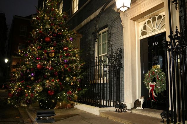 Larry the cat, chief mouser to the Cabinet Office, sits by the Christmas tree at 10 Downing Street.