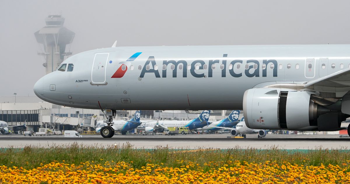 American Airlines Briefly Halts Flights Nationwide After Technical Issue