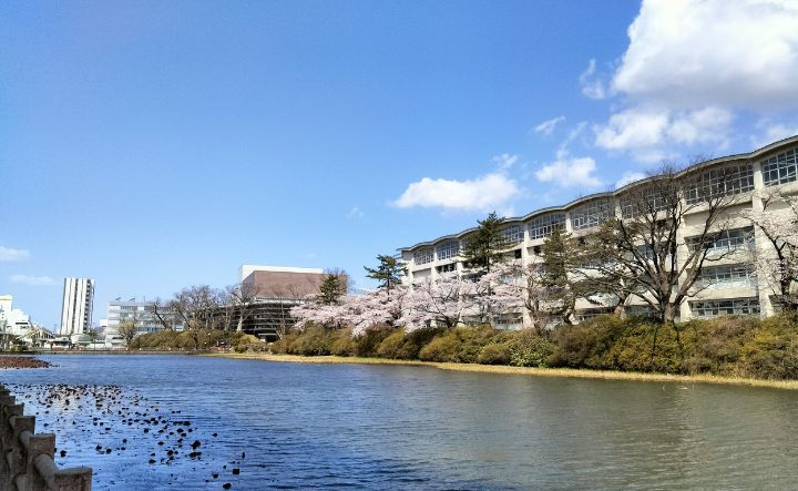 不登校時代に散歩していた場所