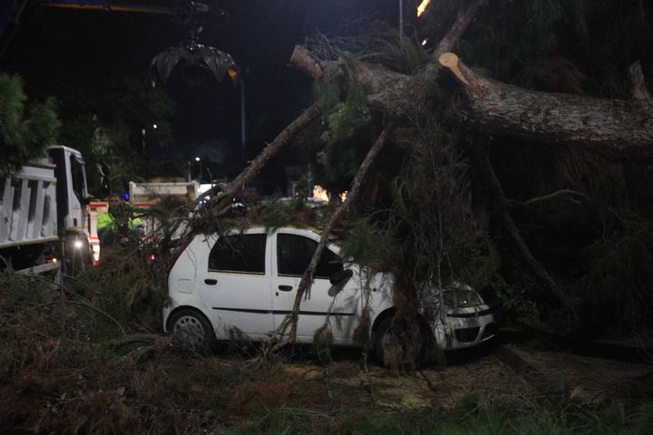 Μεγάλο δέντρο στη Νέα Σμύρνη καταπλάκωσε ΙΧ αυτοκίνητο (26 Δεκεμβρίου 2024)