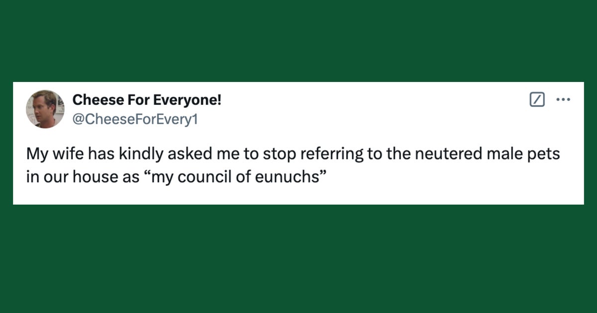 NextImg:26 Of The Funniest Tweets About Cats And Dogs This Week